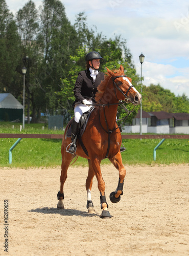 Woman riding dressage horse at gallop