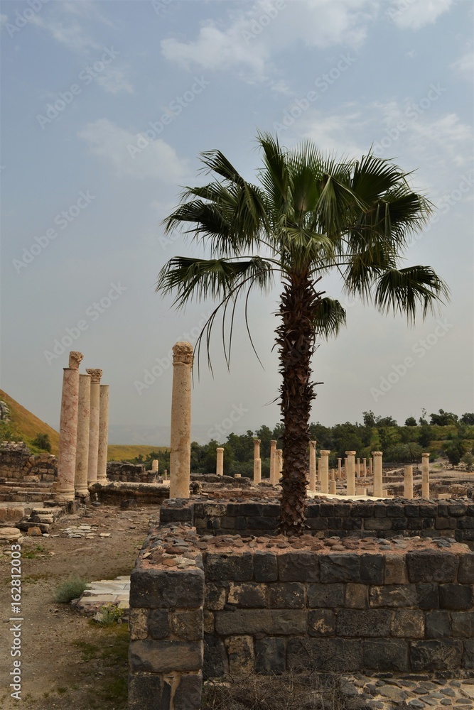 Alte römische Säulen und Palme
