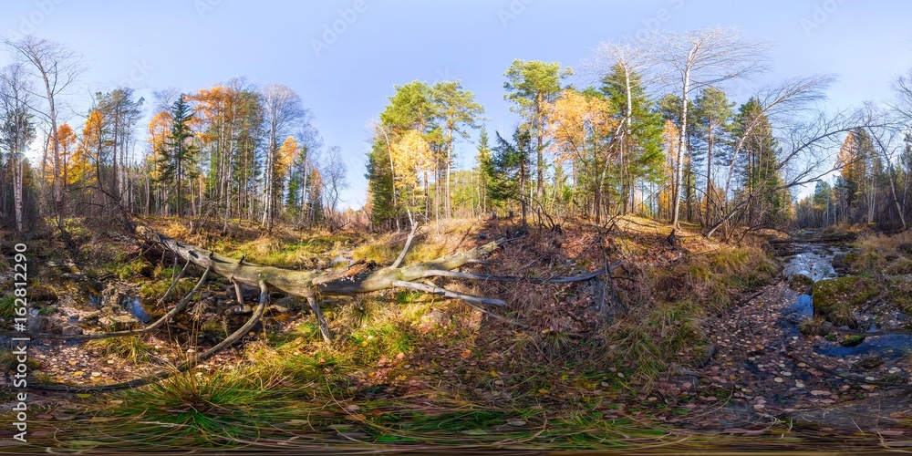 Fototapeta premium Spherical panorama 360 degrees 180 river stream in the forest and a fallen tree. vr content