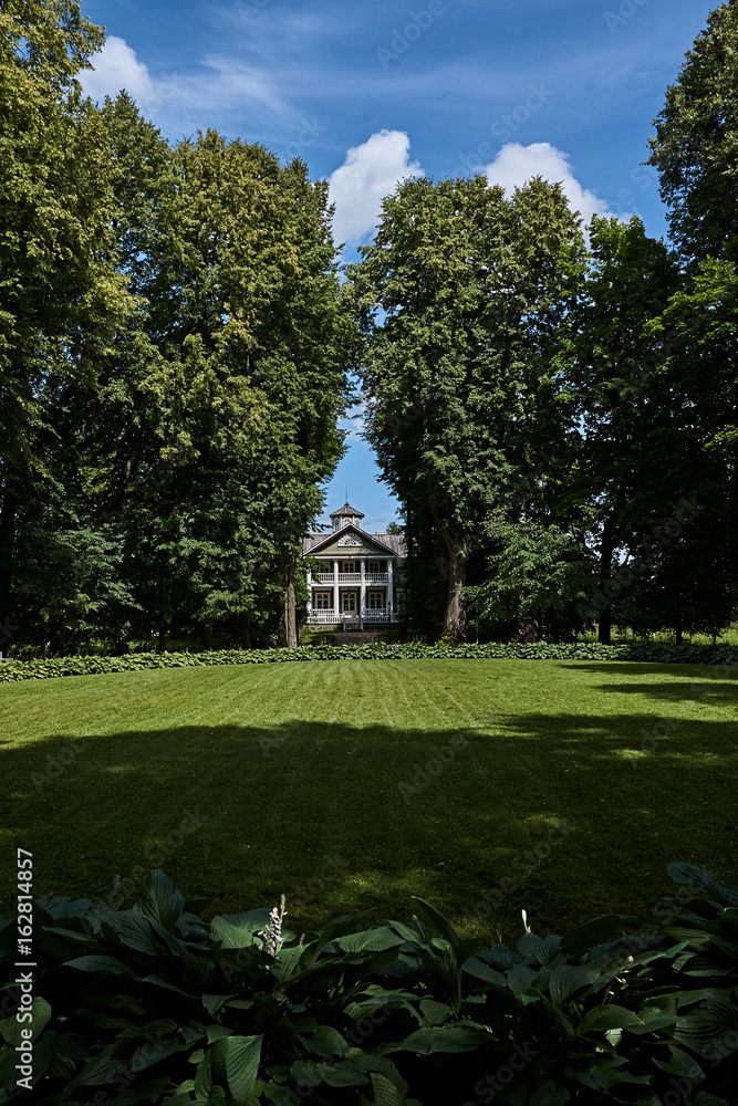 Shady alley in the park/On the sides of the alley are trees that make a shadow. At the end of the alley you can see a two-story house. Russia, Pskov region, nature, landscape