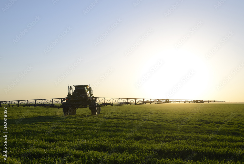 Tractor on the sunset background. Tractor with high wheels is making fertilizer on young wheat. The use of finely dispersed spray chemicals