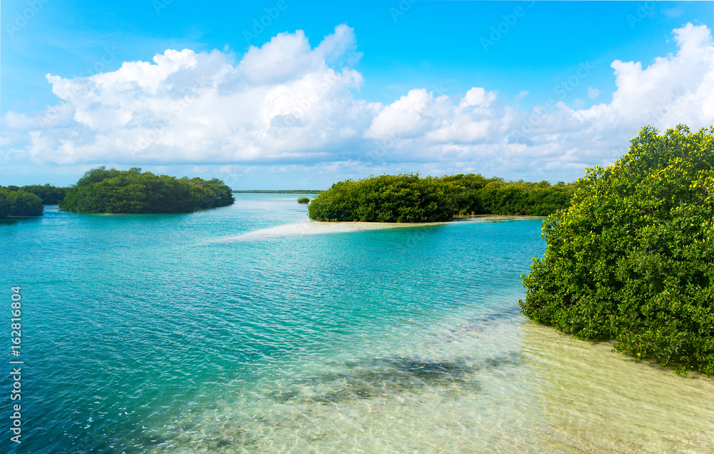Obraz premium Archeology and nature of the Yukatan peninsula