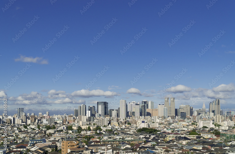 Fototapeta premium 東京都市風景 新宿高層ビル群 全景 中野坂上から代々木まで 東京スカイツリーも見えます 2017年