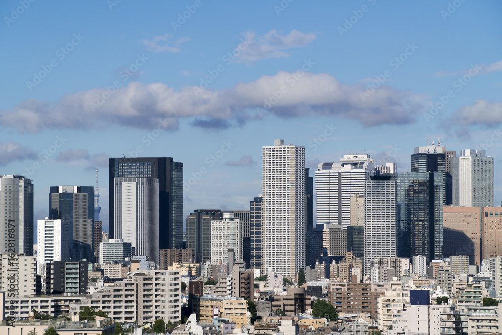 東京都市風景　新宿高層ビル群と東京スカイツリー　2017年　新しい超高層ビルあり　
