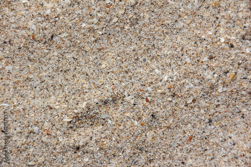 Close-up of the Sand of Palm Beach / Florida, USA