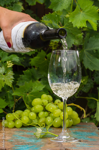 Waiter pouring a glass of ice cold white wine, outdoor terrace, wine tasting in sunny day, green vineyard garden background