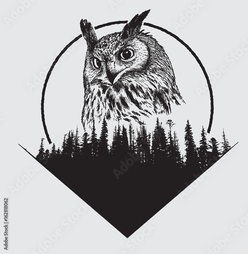 owl on forest silhouette background
