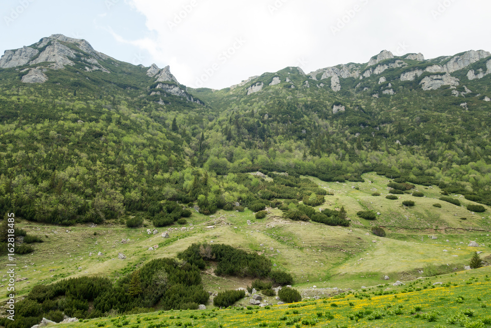 Fototapeta premium View from Bucegi mountains, Romania, Bucegi National Park