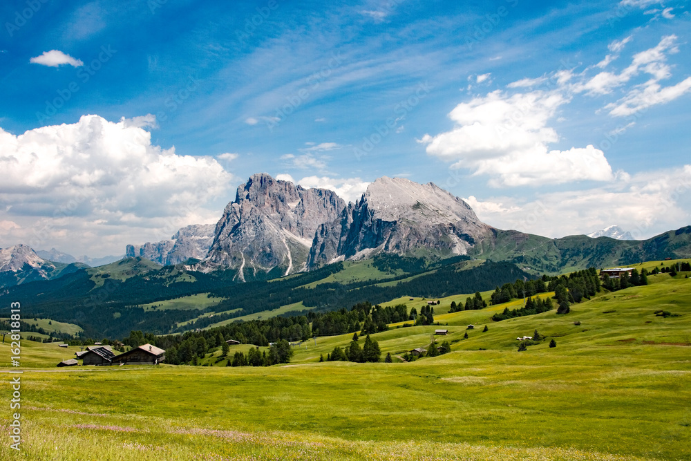Obraz premium Dolomiti - Alpe di Siusi - Sassolungo e Sassopiatto - Italy