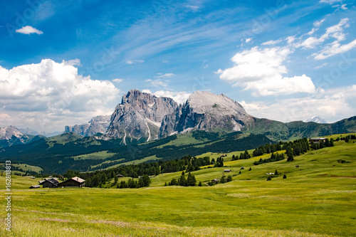 Dolomiti - Alpe di Siusi - Sassolungo e Sassopiatto - Italy