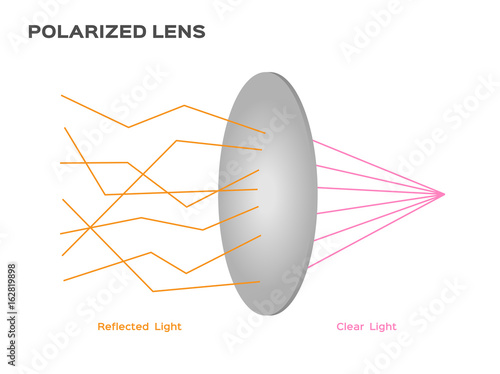 polarized lens reflect harmful light vector