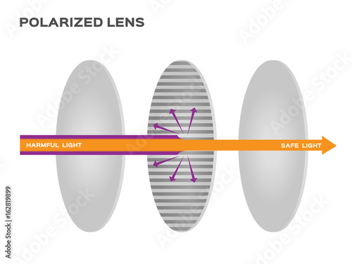 polarized lens reflect harmful light vector