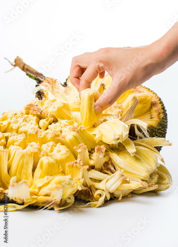 Hand reaching jackfruit isolated on white background