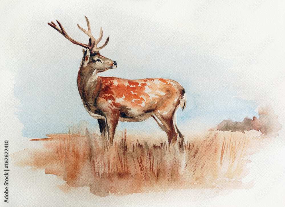 Obraz jelenie w polu - akwarela malarstwa dzikiej przyrody z szczegółowe tekstury papieru