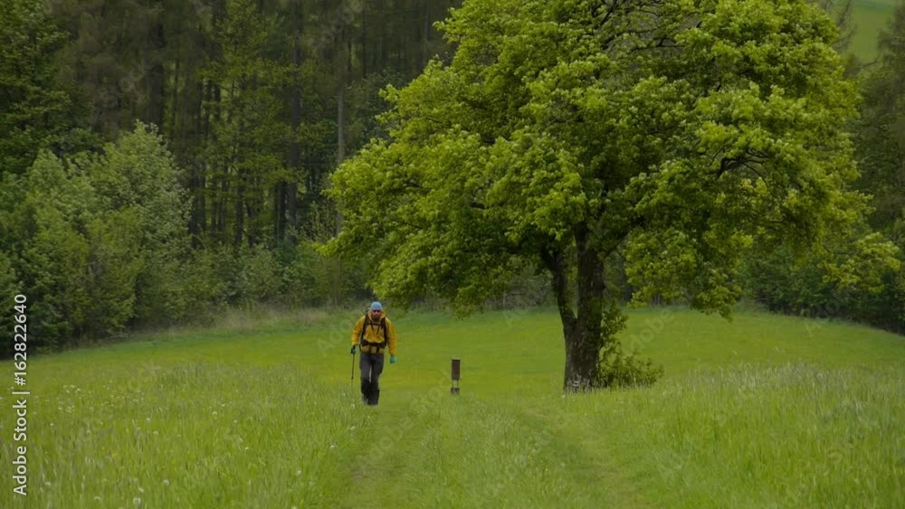 hiker walking on a trail, czechia, europe
hiker walking on a trail, czechia, europe