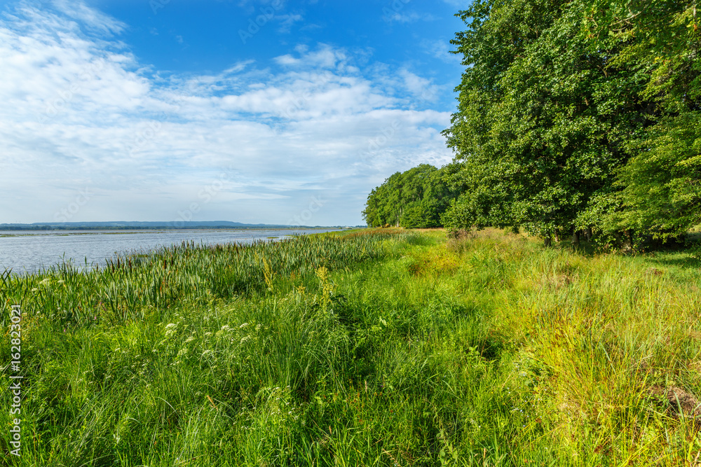 Beach meadow at a lake Beach meadow at a lake