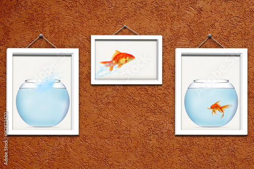 Moving in together/Goldfish jumping from one fish bowl to another with another goldfish in it