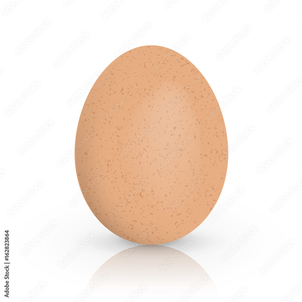 Single brown chicken egg isolated on white background. Vector illustration. Single brown chicken egg isolated on white background. Vector illustration.