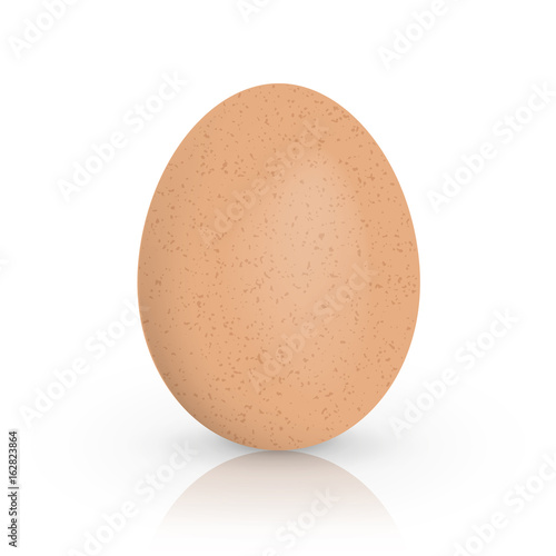 Single brown chicken egg isolated on white background. Vector illustration.