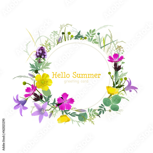 Summer floral greeting card.
Hand drawn vector illustration of wildflowers on white background.