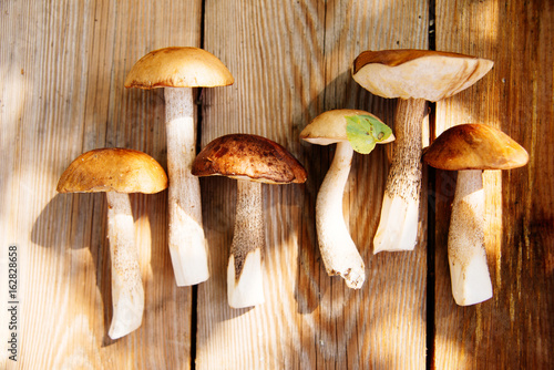 Mushrooms on the pan