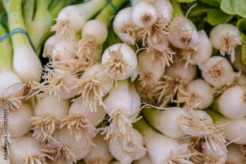 Close up of the root ends of fresh green onions at the local farmers market