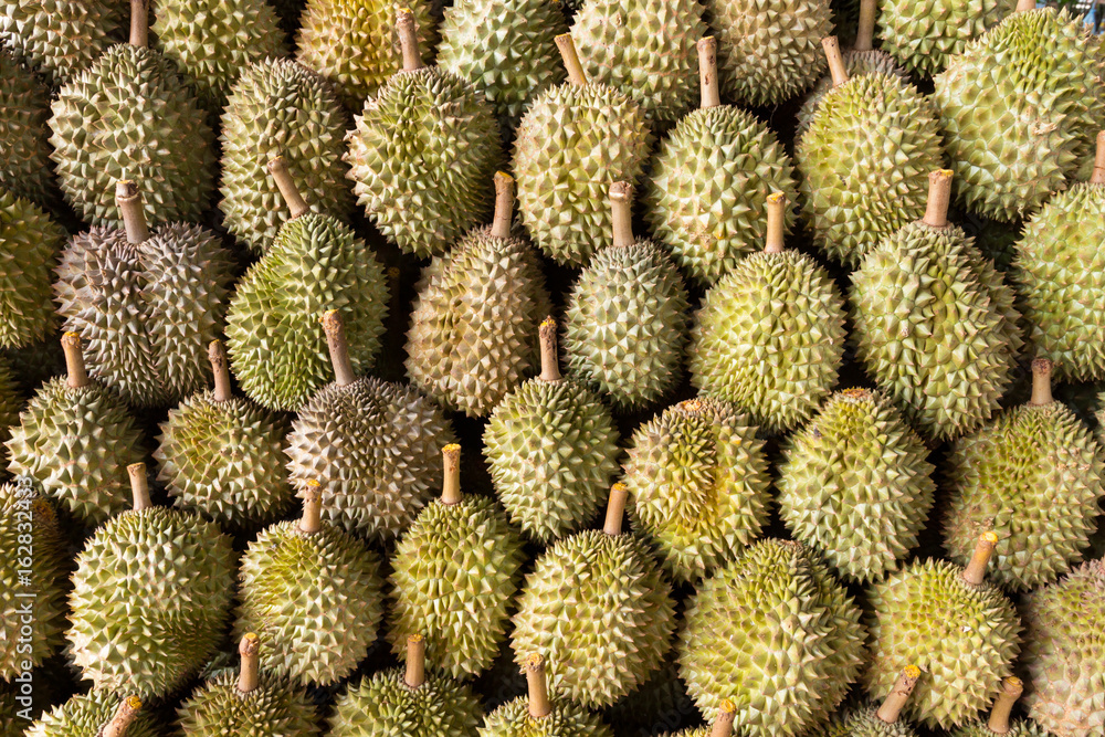 durian king of fruit durian king of fruit