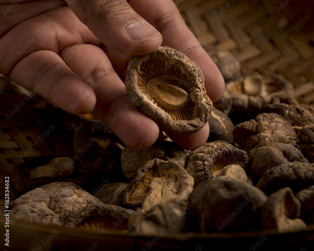 Hand select dried shiitake mushrooms Hand select dried shiitake mushrooms