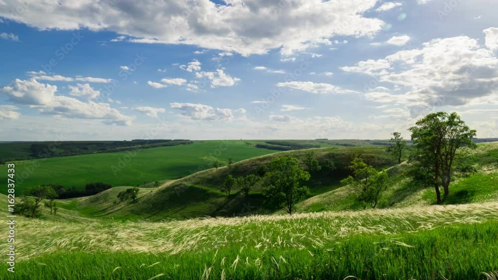 green hills with trees and grass under the passing clouds. Timelapse green hills with trees and grass under the passing clouds. Timelapse