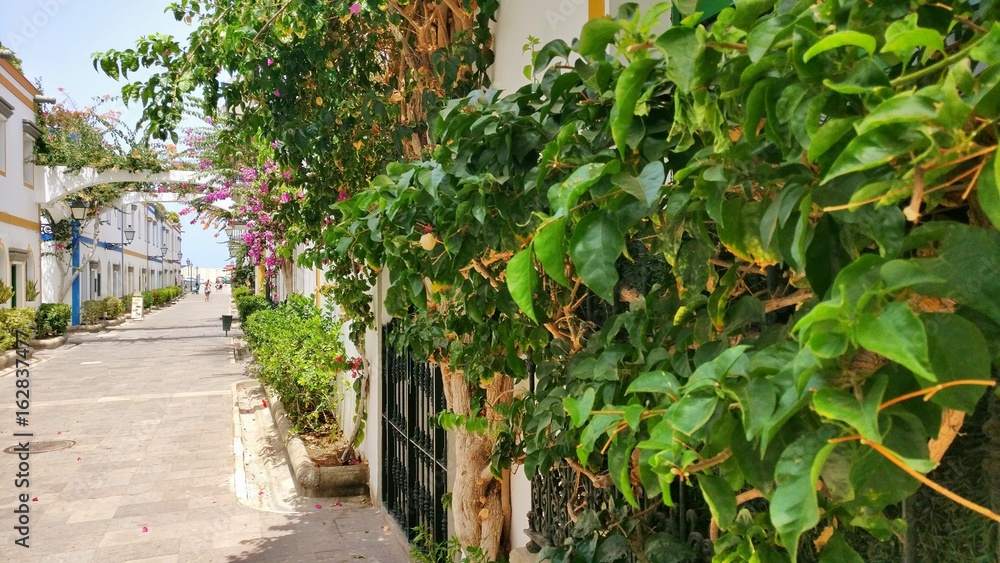 A typical street at Puerto de Mogan