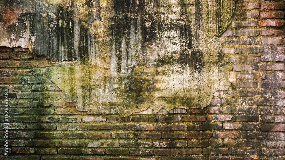 Cracked old brick and concrete wall covered with moss and tree trunk. high humidity abandon texture background
