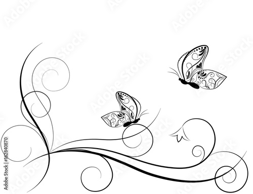 Butterfly. Vector