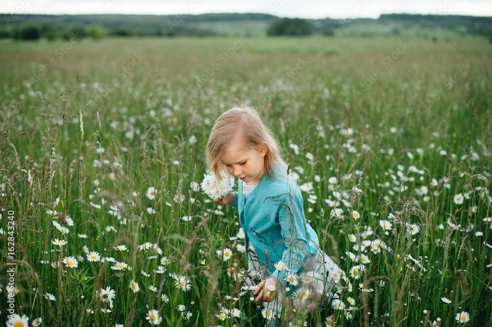 Little girl in a chamomile field