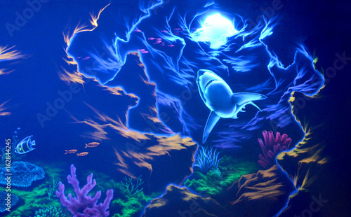 Painting painted with fluorescent paint in the Sochi aquapark