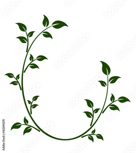 Frame with tree branch.