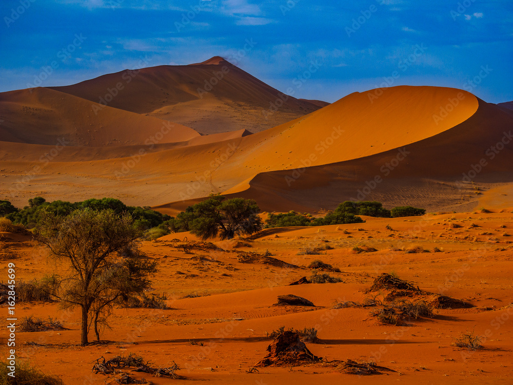 Contrasting Dune in the Afternoon Sun. Namibia Desert, Namibia