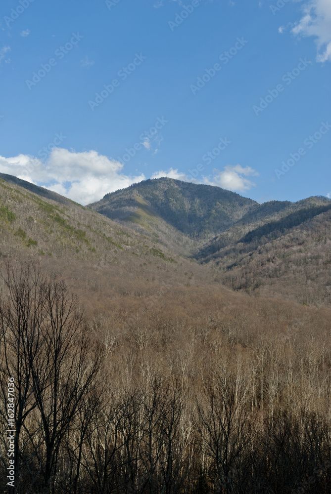 Fototapeta premium Clouds, Winter Landscape, Great Smoky Mountains NP