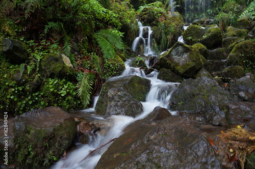 Narrow white stream of water flows between wet stones and lush tropical vegetation. The water running down in several little trickles.