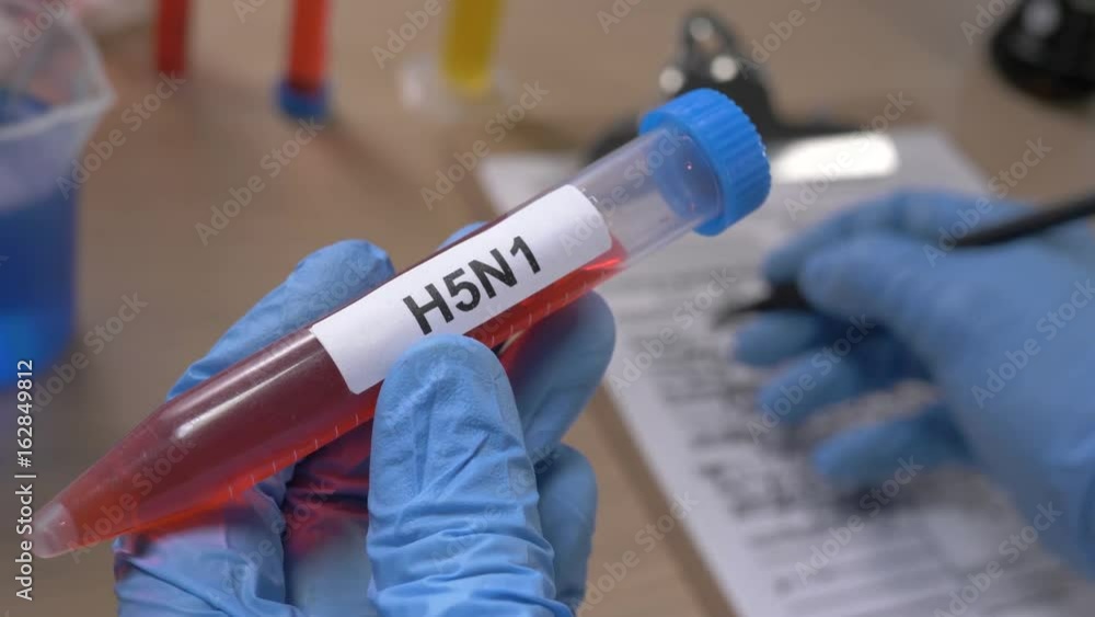 Scientist holding a H5N1 test tube while taking some notes observations in a notebook. Filmed in a lab environment. Closeup on the tube. Scientist holding a H5N1 test tube while taking some notes observations in a notebook. Filmed in a lab environment. Closeup on the tube.