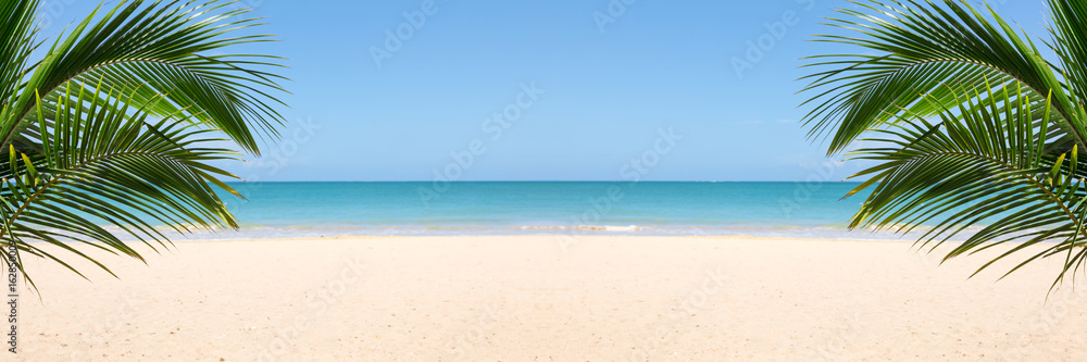Sunny tropical beach panorama with copy space between palm trees
