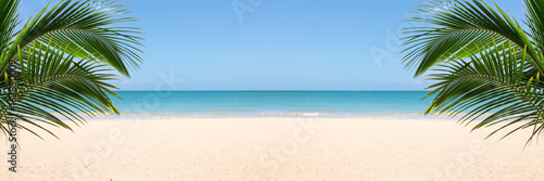 Sunny tropical beach panorama with copy space between palm trees © Mariusz Blach