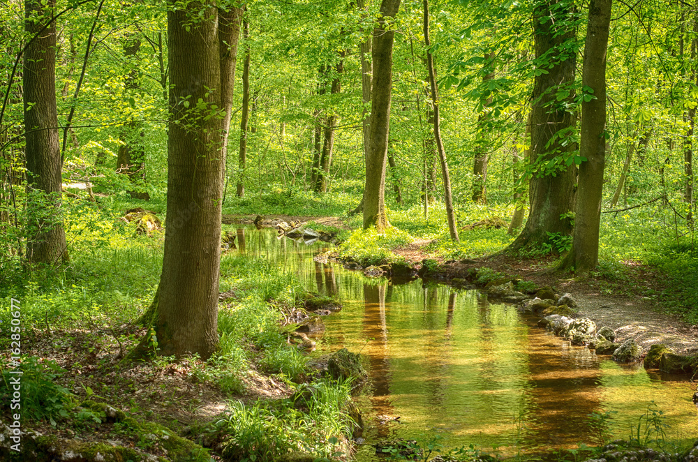 River in a green forest. Idyllic green park with ray of light by small river stream. Nymphenburg park, Munich, Germany River in a green forest. Idyllic green park with ray of light by small river stream. Nymphenburg park, Munich, Germany
