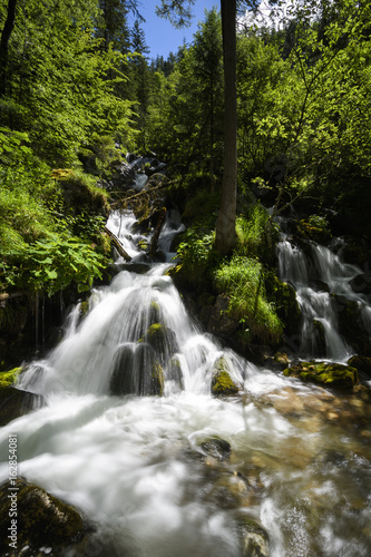 Fototapeta Naklejka Na Ścianę i Meble -  Wasserfall im Nationalpark