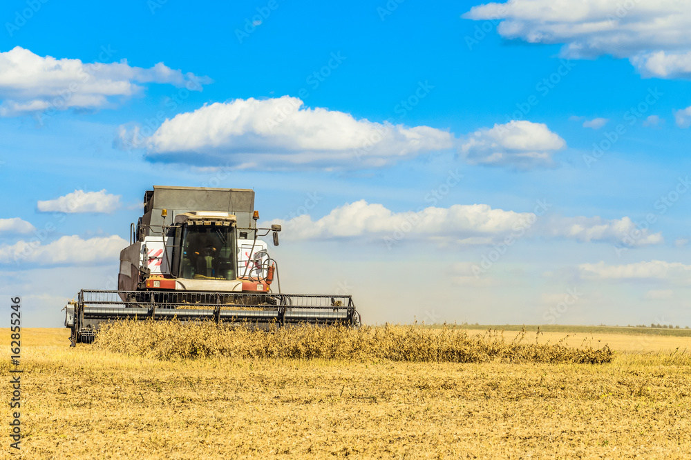 Combine harvester is working in the field. Agricultural work on a sunny day. Combine harvester is working in the field. Agricultural work on a sunny day.