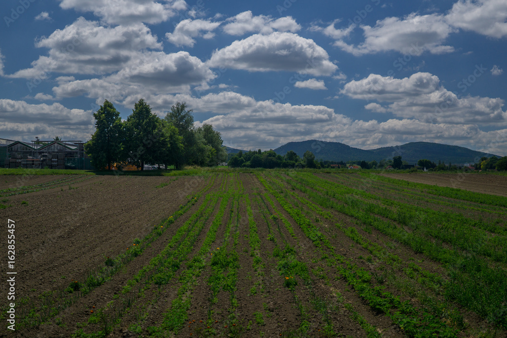 farming fields in Saxonia In Germany