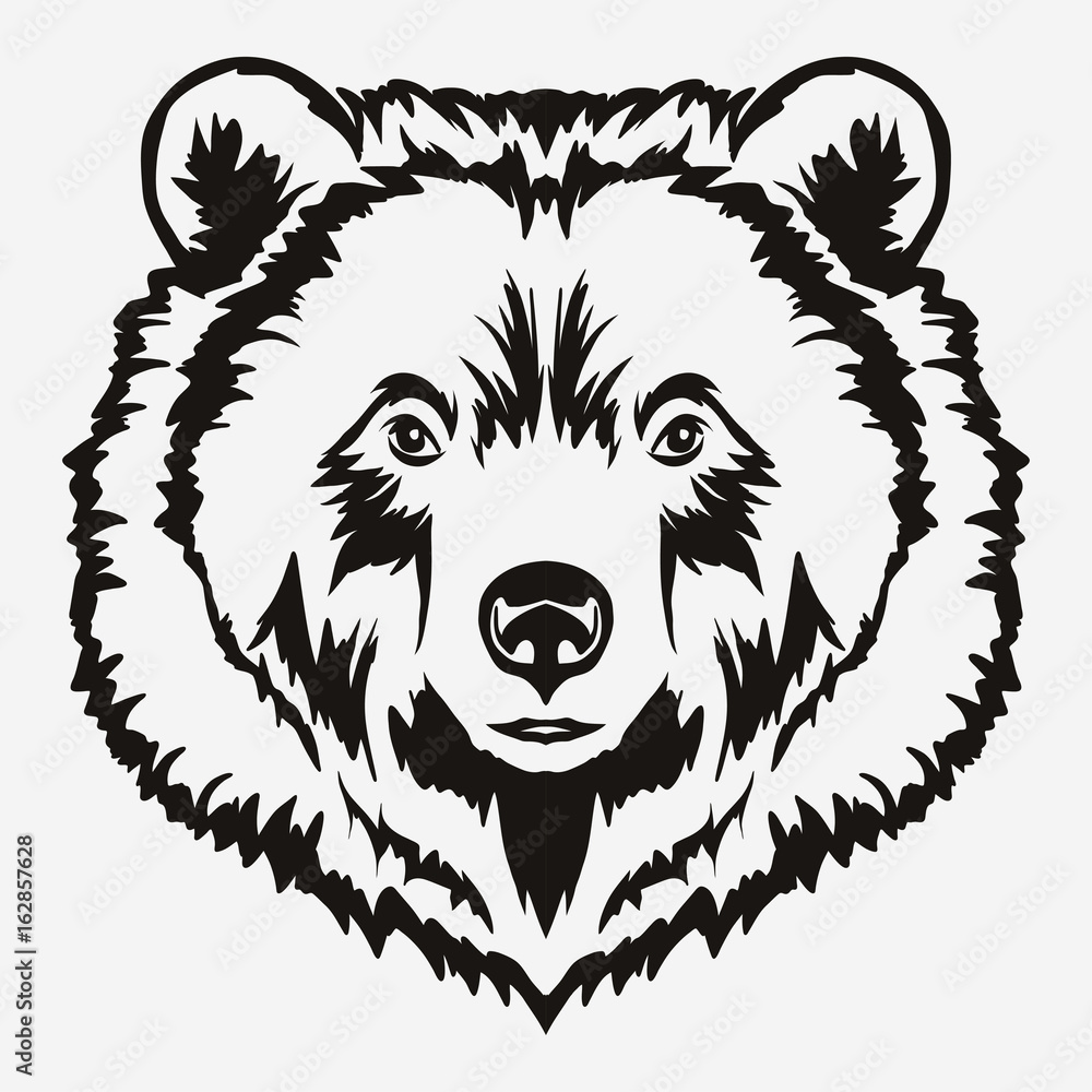 Bear head cartoon vector