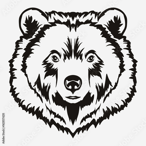 Bear head cartoon vector