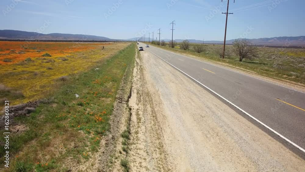 Highway in Flower Field Aerial Establish Shot of Rural Area Highway in Flower Field Aerial Establish Shot of Rural Area