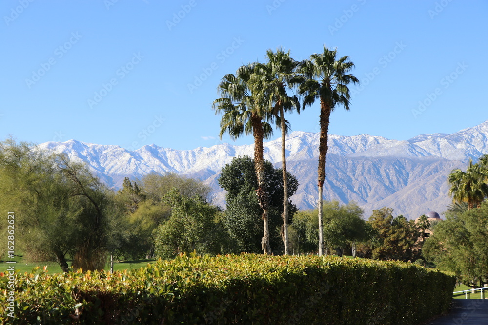 Fototapeta premium Low desert horizon