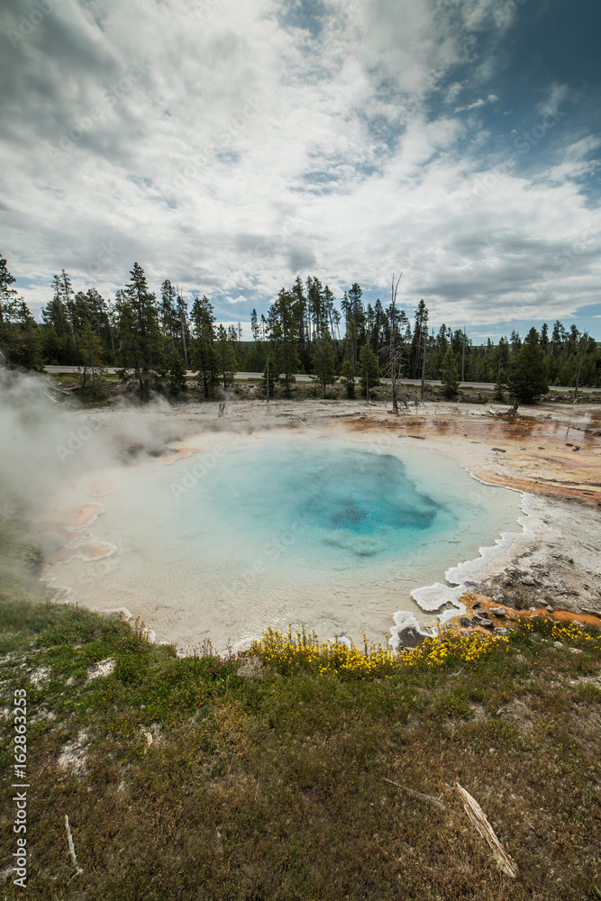 Volcanic Hot Spring on Fountain Paint Pot Nature Trail with Hot Blue Water and Wildflowers in Yellowstone National Park